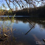 Schulzensee, Tauchen im Schulzensee, Tauchen in Brandenburg