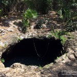 Calavera, Flora und Fauna in Mexico, Tauchen Cenoten