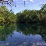 Car Wash, Flora und Fauna in Mexico, Tauchen Cenoten