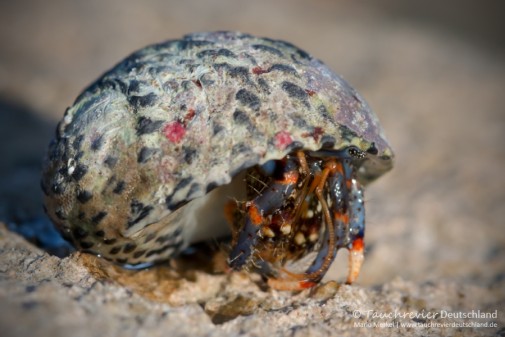 2016_Mexico_Xibalba (126)