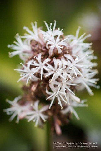 2016_Mexico_Xibalba (134)