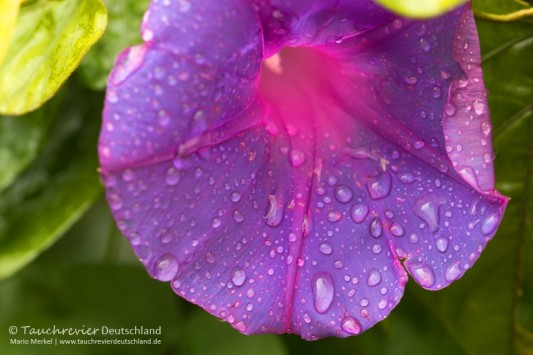 2016_Mexico_Xibalba (137)