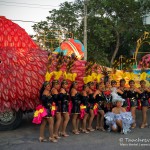 Karneval in Tulum, Flora und Fauna in Mexico, Tauchen Cenoten