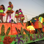Karneval in Tulum, Flora und Fauna in Mexico, Tauchen Cenoten