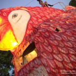 Karneval in Tulum, Flora und Fauna in Mexico, Tauchen Cenoten