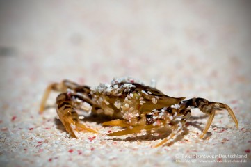 2016_Mexico_Xibalba (156)