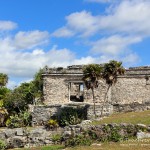 Maya Ruinen Zama, Flora und Fauna in Mexico, Tauchen Cenoten