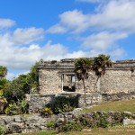Maya Ruinen Zama, Flora und Fauna in Mexico, Tauchen Cenoten