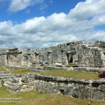 Maya Ruinen Zama, Flora und Fauna in Mexico, Tauchen Cenoten