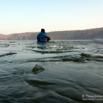 Werbellinsee, Dornbusch, Eistauchen im Werbellinsee, Tauchen in Brandenburg