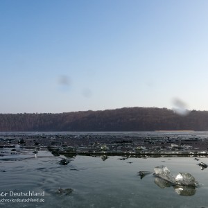 Werbellinsee, Dornbusch