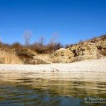 Tauchen im Steinbruch Hohenerxleben, Silbersee, Tauchen in Sachsen-Anhalt