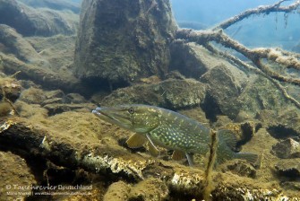 2017_04_12_Westbruch (116)