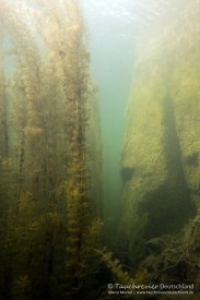 2017_04_12_Westbruch (140)