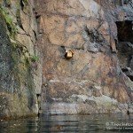 Vogelhaus, Tauchen im Westbruch, Tauchen in Sachsen