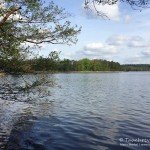 Tauchen im Labussee, Tauchen in Mecklenburg-Vorpommern