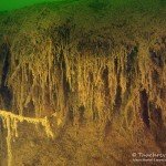 Graben, Tauchen im Zwenkauer See, Tauchen in Sachsen