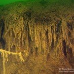 Graben, Tauchen im Zwenkauer See, Tauchen in Sachsen