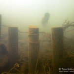 Entwässerungsgraben, Tauchen im Zwenkauer See, Tauchen in Sachsen