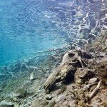 Lichtspiele, Tauchen im Fernsteinsee, Tauchen in Österreich