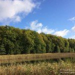 Redernswalder See , Tauchen im Bisophärenreservat, Tauchen in Brandenburg