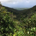 Naturpark, Tauchen auf Maurtius, Tauchrevier Deutschland auf Reisen