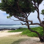 Nordküste, Tauchen auf Mauritius, Tauchrevier Deutschland auf Reisen