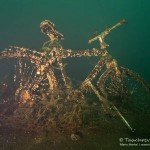 Fahrrad, Tauchen im Cospudener See, Tauchen in Sachsen