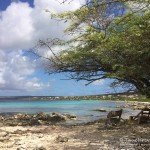 Tauchplatz, Den Laman, Tauchen auf Bonaire, Tauchrevier Deutschland auf Reisen