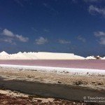 Saline, Den Laman, Tauchen auf Bonaire, Tauchrevier Deutschland auf Reisen