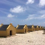 Yellow Slave, Den Laman, Tauchen auf Bonaire, Tauchrevier Deutschland auf Reisen