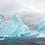 Eisberg, Tauchen in Grönland, Eisbergtauchen, Tasiilaq