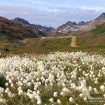 Tasiilaq Tal, Tauchen in Grönland, Eisbergtauchen, Tasiilaq