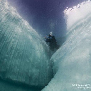 Eisbergtauchen