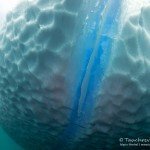 Blaues Eis, Tauchen in Grönland, Eisbergtauchen, Tasiilaq