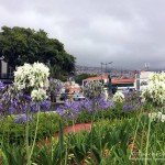 Funchal, Tauchen auf Madeira, Tauchen im Atlantik, Manta Diving Madeira