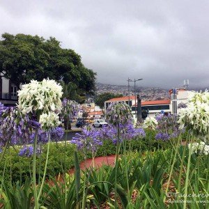 Funchal