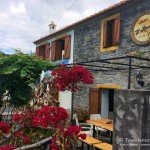 Taverne, Tauchen auf Madeira, Tauchen im Atlantik, Manta Diving Madeira,