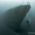 Korvette „Afonso Cerqueira“, Tauchen auf Madeira, Tauchen im Atlantik, Manta Diving Madeira