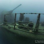 Korvette „Afonso Cerqueira“, Tauchen auf Madeira, Tauchen im Atlantik, Manta Diving Madeira