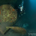 Korvette „Afonso Cerqueira“, Tauchen auf Madeira, Tauchen im Atlantik, Manta Diving Madeira