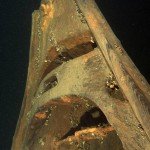 Kaffenkähne, Lastensegler, Werbellinsee, Wracks, Wracktauchen, Tauchen in Brandenburg, Denkmalgerechtes Tauchen, Dornbusch, Bug, Kaffe
