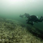 Kaffenkähne, Lastensegler, Werbellinsee, Wracks, Wracktauchen, Tauchen in Brandenburg, Denkmalgerechtes Tauchen, Buddies, Taucher