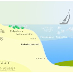 Natürliche Seen - Lebensraum