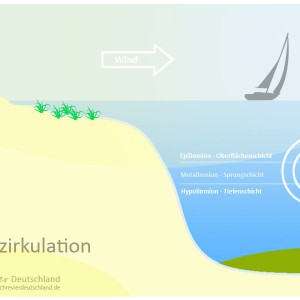 Natürliche Seen - Wasserzirkulation